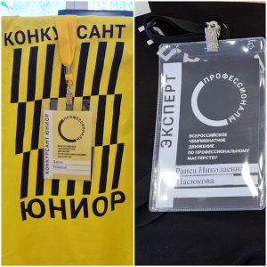 Открытие регионального этапа чемпионата профессионального мастерства «Профессионалы» в Камчатском крае